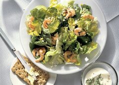 Lettuce Salad with Shrimp and Egg