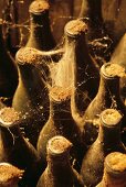 Vintage Wine Bottle with Cobwebs