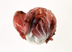 Head of Radicchio