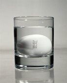Frisches Ei mit Legedatum liegt im Wasserglas (Frischetest)