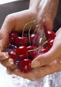 Washing Red Cherries