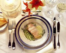 Poached salmon fillet on sliced cucumber