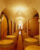 Barrique wine cellar on Klein Constantia Estate, S. Africa