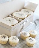 White cup-cakes and petit fours for giving