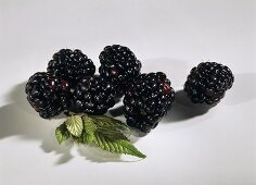 A few blackberries and blackberry leaves