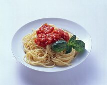 Spaghetti mit Tomatensauce und Basilikumblättchen
