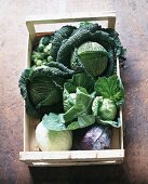 Various types of cabbage in a crate