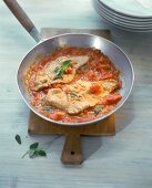 Veal escalope with tomato sauce in pan