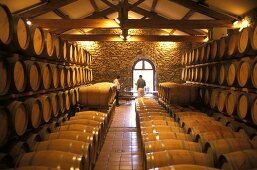 Wine Cellar; France