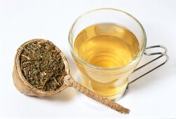 Clubmoss tea and dried herb (Huperzin selago)