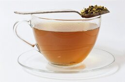 A cup of mistletoe tea (Viscum album)