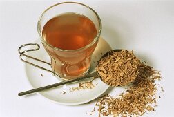Sassafras tea and bark (Sassafras albidum)