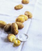 Boiled potatoes with coarse-grained salt