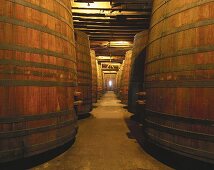 Wine cellar of family-run Viña Cousiño Macul, Chile 