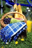 Fruit, baguettes and table cloth in basket on grass