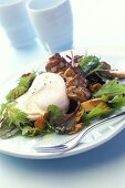 Poached egg, chicken kebab and chanterelle salad