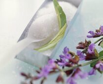 Sage flowers and sugar (for sugared edible flowers)