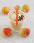 Apricot drink with yoghurt ice cream and grated chocolate