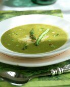 Creamed green asparagus soup