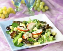 Mixed young salad leaves with langouste surimi