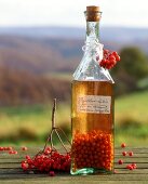 Rowan berry liqueur in a bottle