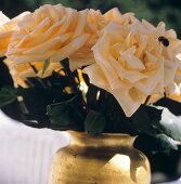 Peach Roses in Vase Outdoors; Bumble Bee