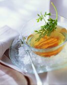 Chilled poultry consomme with parsley on ice