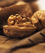 Walnuts among walnut leaves