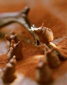 Chocolate mice on cocoa and chocolate twig