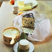 Various types of cheese from France