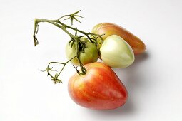 Rote und grüne Tomaten