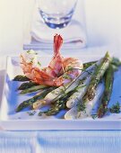 Asparagus salad with jumbo prawns