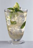 Moscow mule in long drink glass garnished with mint