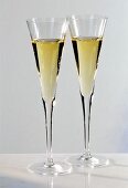Zwei Gläser Champagner
