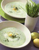 Cress soup with boiled egg