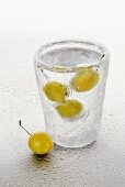 Ice glass with schnapps and mirabelles