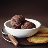 Chocolate ice cream in white bowl, biscuits beside it