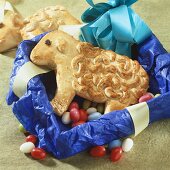 Small Easter lamb in box with coloured sugar eggs