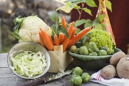 Autumn vegetable still life with brassicas, potatoes & carrots