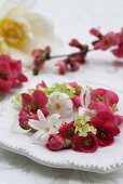 A wreath of japonica and viburnums on a plate