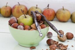 Apples, almonds and hazlenuts with a nutcracker