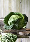 Savoy cabbage on a chopping board