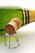 Champagne bottle with cork and agraffe