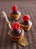 Chocolate ganache cupcakes with raspberries