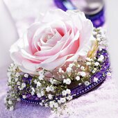 Pink rose with baby's breath on mirror