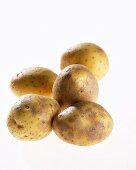Five potatoes, variety 'Milva'