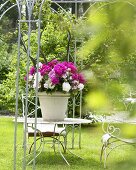 Pfingstrosen im Blumentopf auf Gartentisch