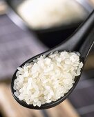 Japanese rice on spoon