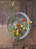 Wild tomatoes on the vine in glass dish