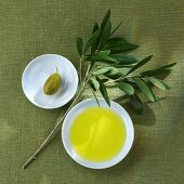 Grüne Olive, Olivenzweig & Olivenöl